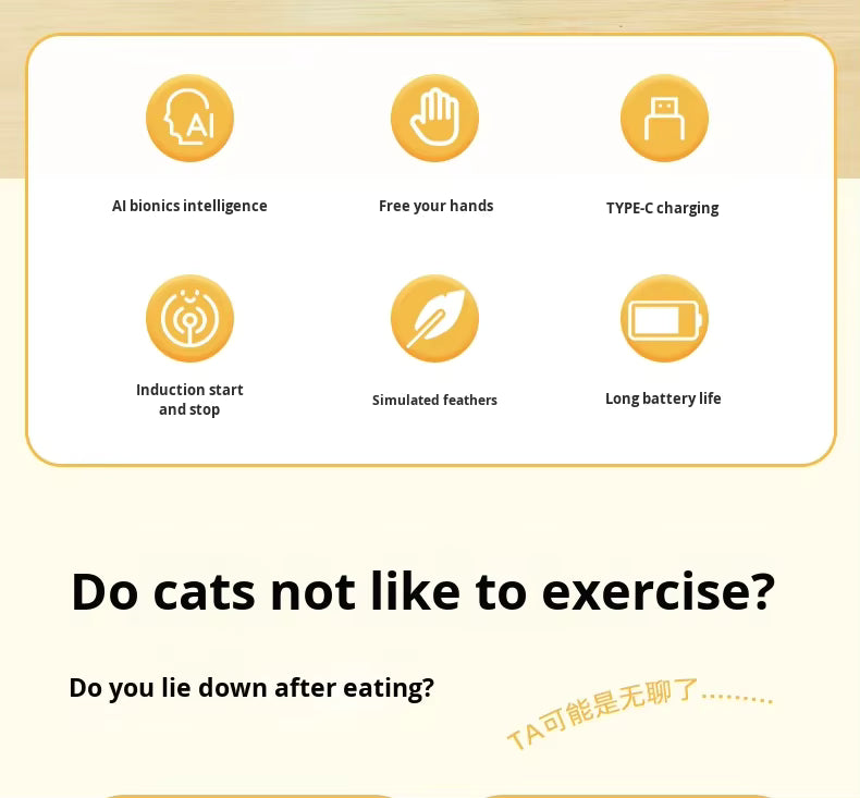 Automatic Cat Toy for Boredom - Smart Self-Playing Hide & Seek Feather Box, Hands-Free Interactive Toy for Indoor Cats, Type-C Rechargeable