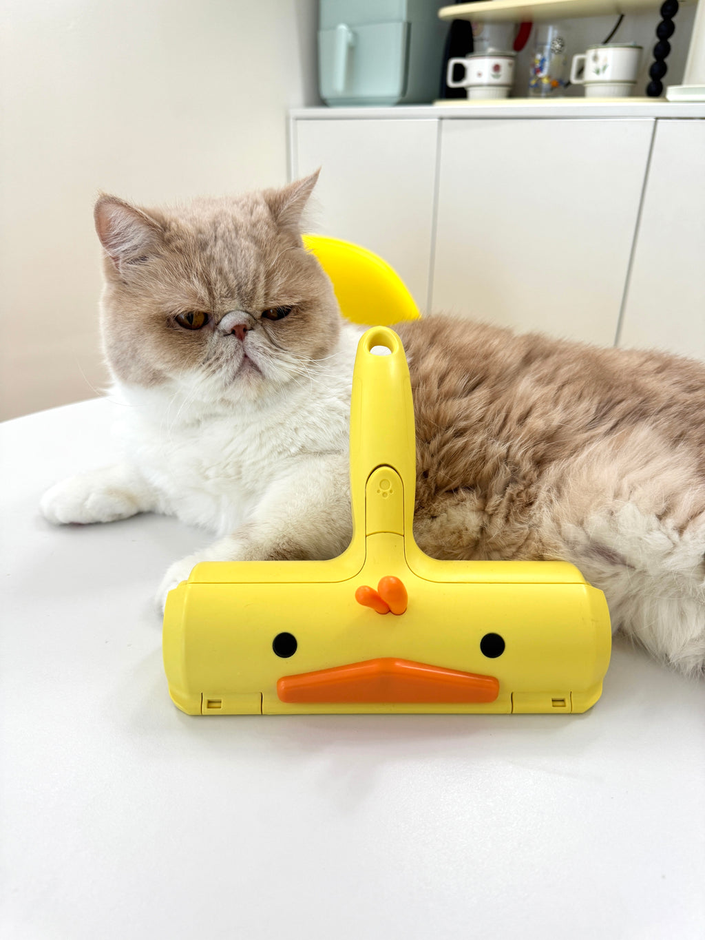 Washable Pet Hair Remover: The Ultimate One-Click Cleaning Tool