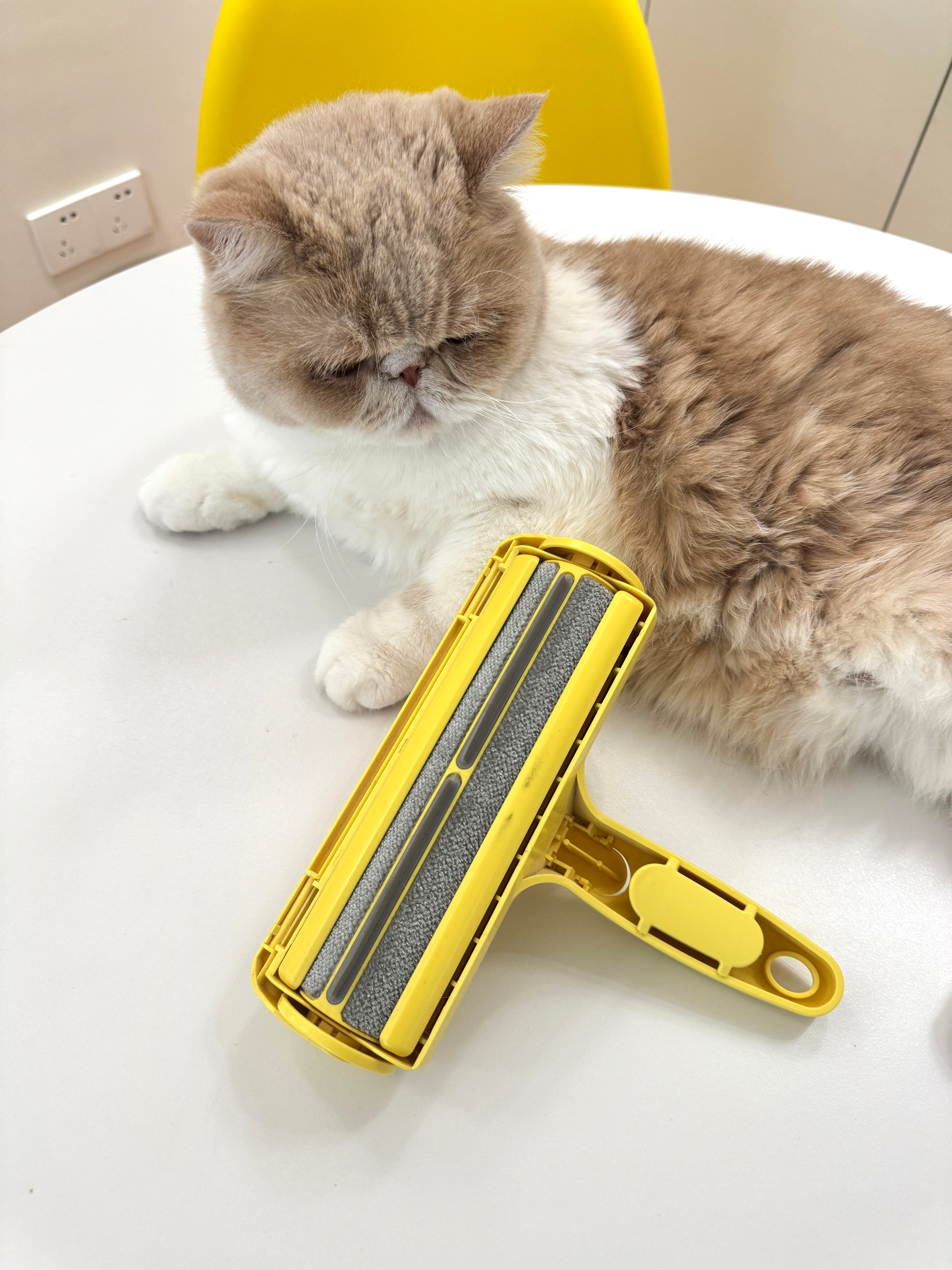 Washable Pet Hair Remover: The Ultimate One-Click Cleaning Tool