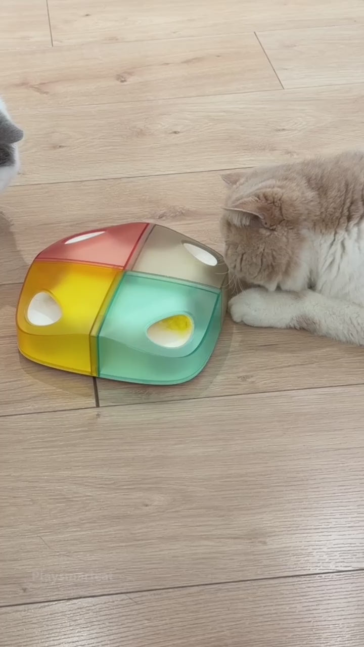 A self-playing hide & seek game cats can’t resist