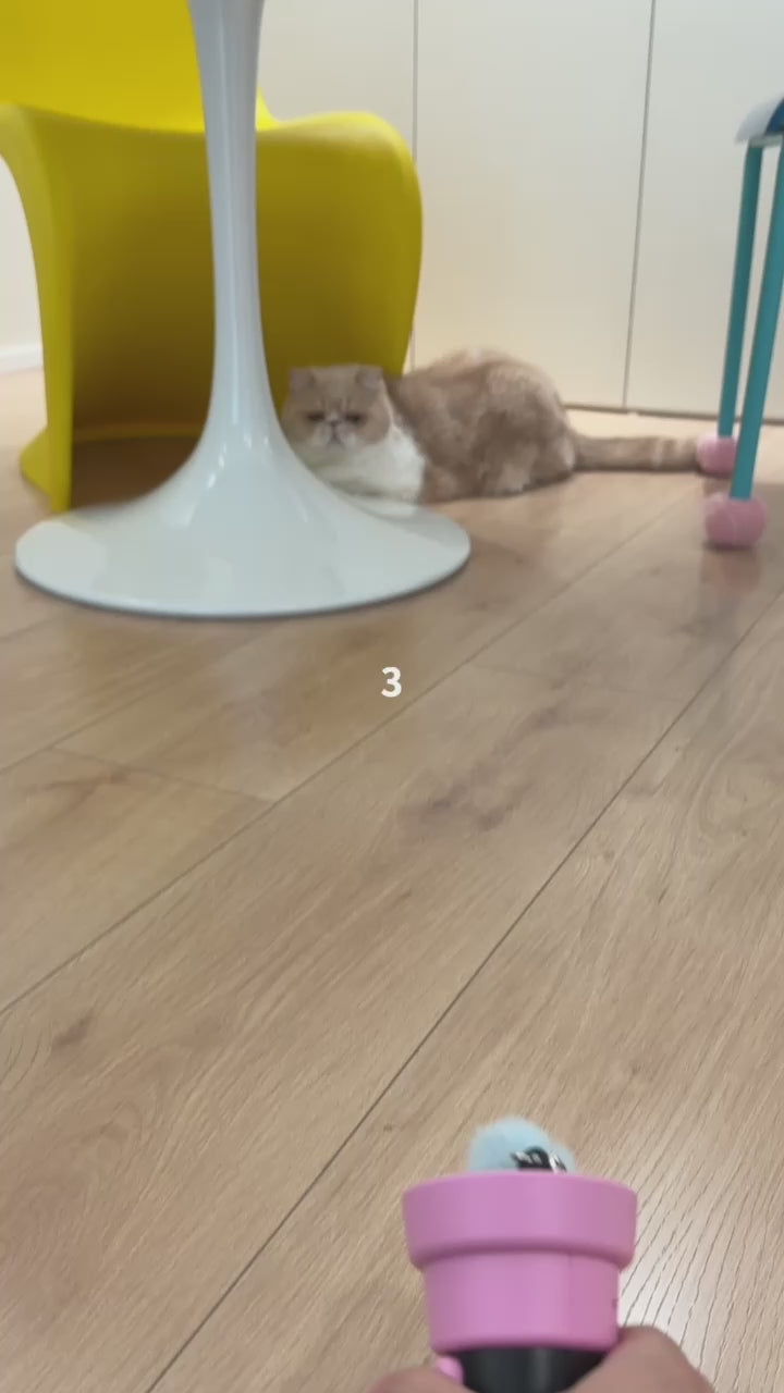 The Cat Toy That Shoots Out & Retracts Instantly